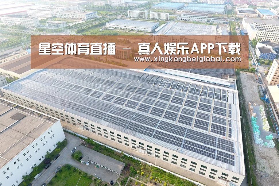 案例展示二