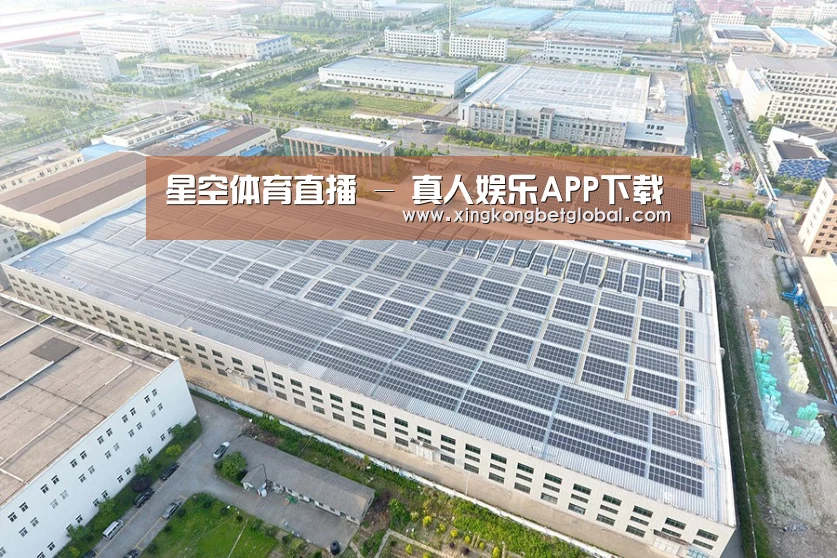 案例展示三