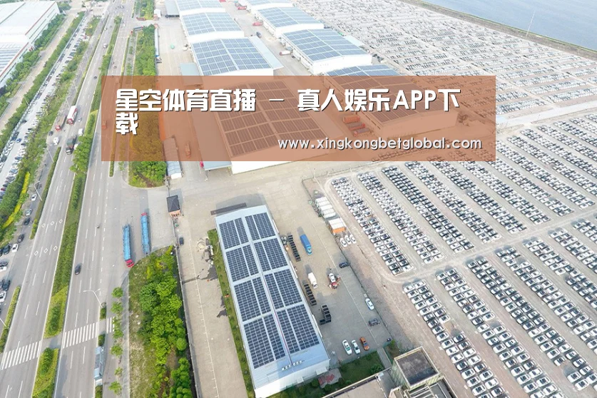 案例展示一