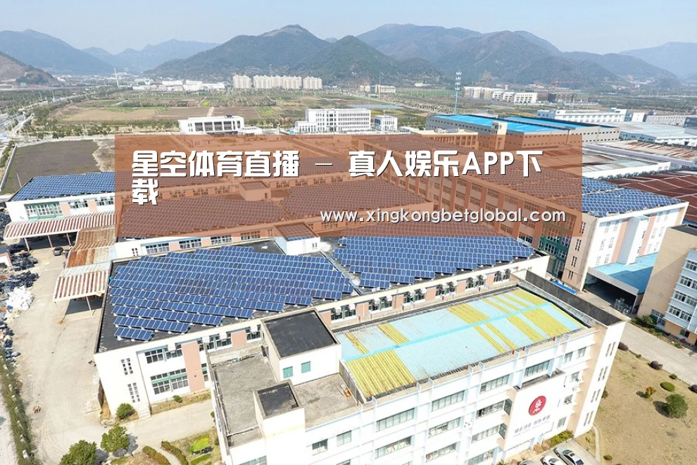 案例展示三