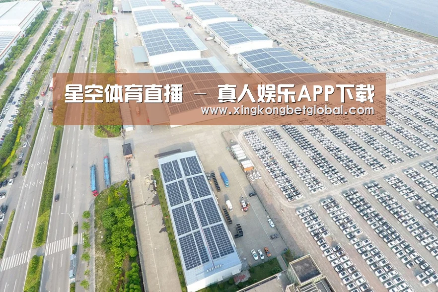 案例展示二